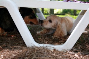 Kissing on a second date Kissing on a second date