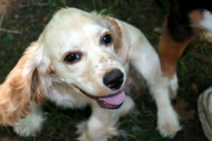 Excuse me. did my cuteness melt your face? Excuse me. did my cuteness melt your face?