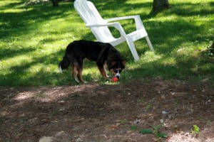 img_7064 img_7064