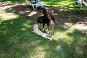 img_7072 img_7072