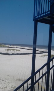 Lunch view
